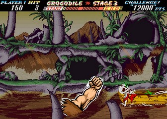 image de The First Funky Fighter